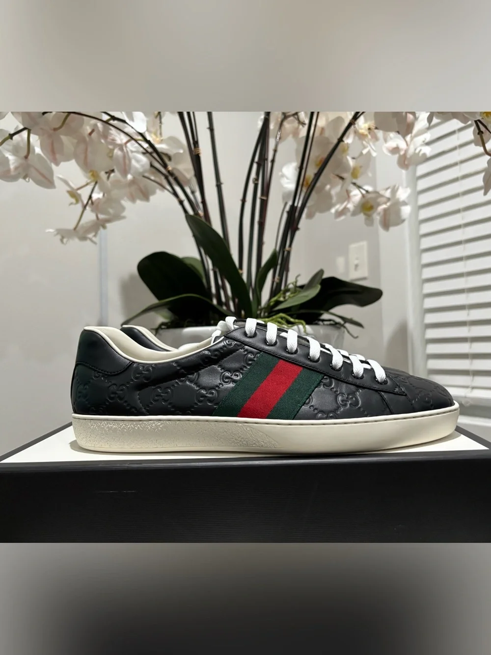 Gucci Black Leather Ace Sneaker with Green-Red Web Stripe
